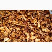 Продам Лисички сушені, якість хороша