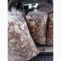 Продам сухі білі гриби