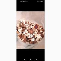 Продам сухі білі гриби