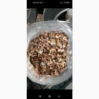 Продам сухі білі гриби