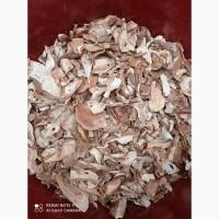 Продам сухі білі гриби
