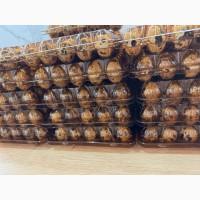 Перепелині яйця