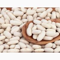 Насіння квасолі в асортименті