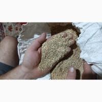 Тютюн Махорка