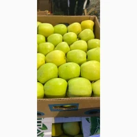 Продам яблука