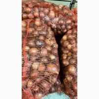Продам цибулю