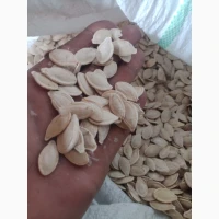 Продам гарбузове насіння Українка