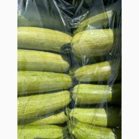 Продам кабачок