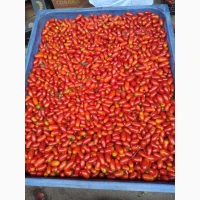 Продам помидорчик пальчик, сладкий, качество