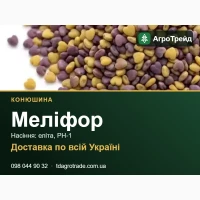 Сортове насіння конюшини Меліфор