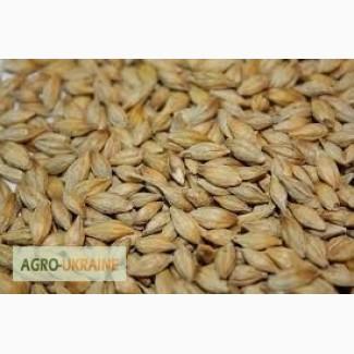 Куплю дорого ячмінь