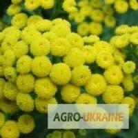 Купити пижм0 суц8іття