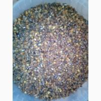 Продам якісну натуральну пергу з власної пасіки