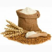 Продам пшеничне борошно, 1/г та в/г