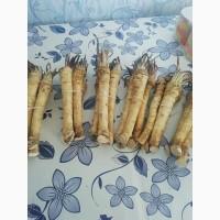 Продам хрін