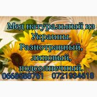 Продам мед в ЛНР