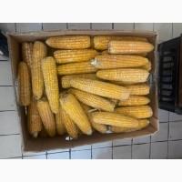 Солодка кукурудза заморожена