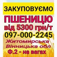 Куплю пшеницю 2 3 4 кл Дорого