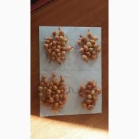 Продам Штутгарт на перо