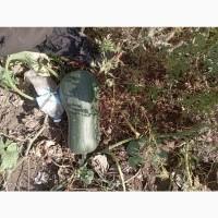 Продам гарбуз