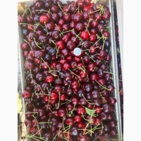 Продам черешню крупноплоду
