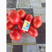 Продам помідор сорт галілея
