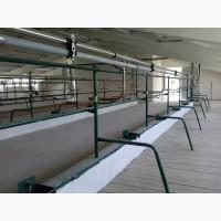 Корівники та свинарники. БУДІВНИЦТВО ТА РЕКОНСТРУКЦІЯ