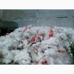 Покупаем стретч пленку дорого в Киеве и Киевской области