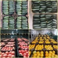 Продам Овощи