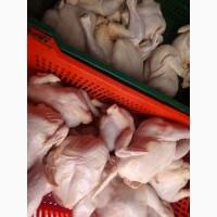Продам курицу тушкой и все ее части