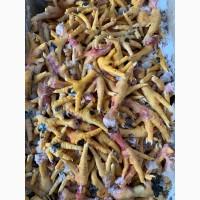 Продам Замороженные - Лапы, ММО, Шия, Четврть задняя, Курей (бройлера)