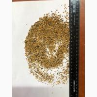 Продам Горчицу под Сидерат