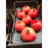 Гранат (Турция)