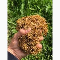 Табак Турецкий. Вирджиния Голд. Крепость 2