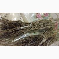 Продам подвой антипка