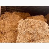 Продам луговое сено, сіно
