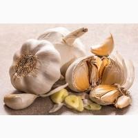 Куплю чеснок любой фракции
