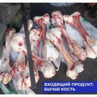 Линия производства фарша из костей КРС 1500 кг/ч