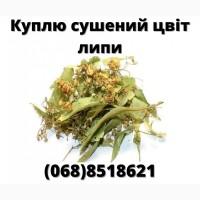Сушений ЦВІТ липи