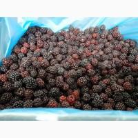 Куплю ожину дику