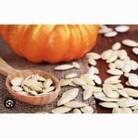 Продам гарбузове насіння