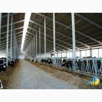 Роздільник стійловий для безприв#039;язного утримання MetallDreamUA