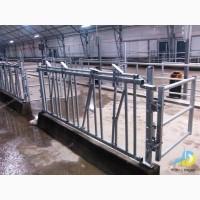 Роздільник стійловий для безприв#039;язного утримання MetallDreamUA