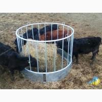 Роздільник стійловий для безприв#039;язного утримання MetallDreamUA