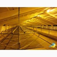 Роздільник стійловий для безприв#039;язного утримання MetallDreamUA