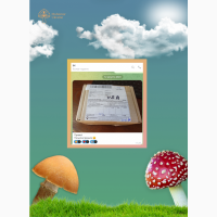 Червоний мухомор | Пантерні плоди гриба