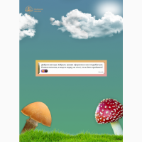 Червоний мухомор | Пантерні плоди гриба