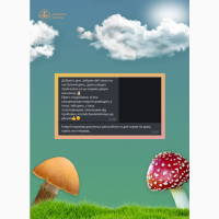 Червоний мухомор | Пантерні плоди гриба