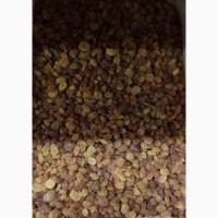 Горіхи та сухофрукти в асортименті