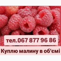 Куплю малину в обʼємі